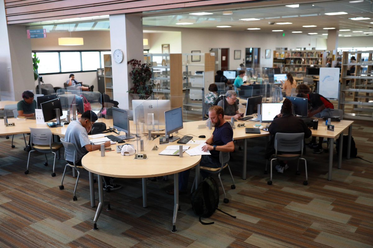 student studying in library