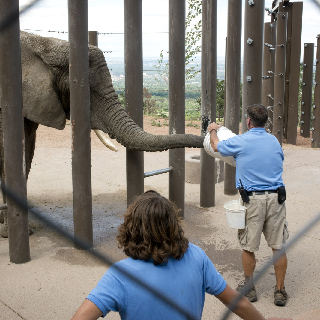 PPSC Student Working with Elephant