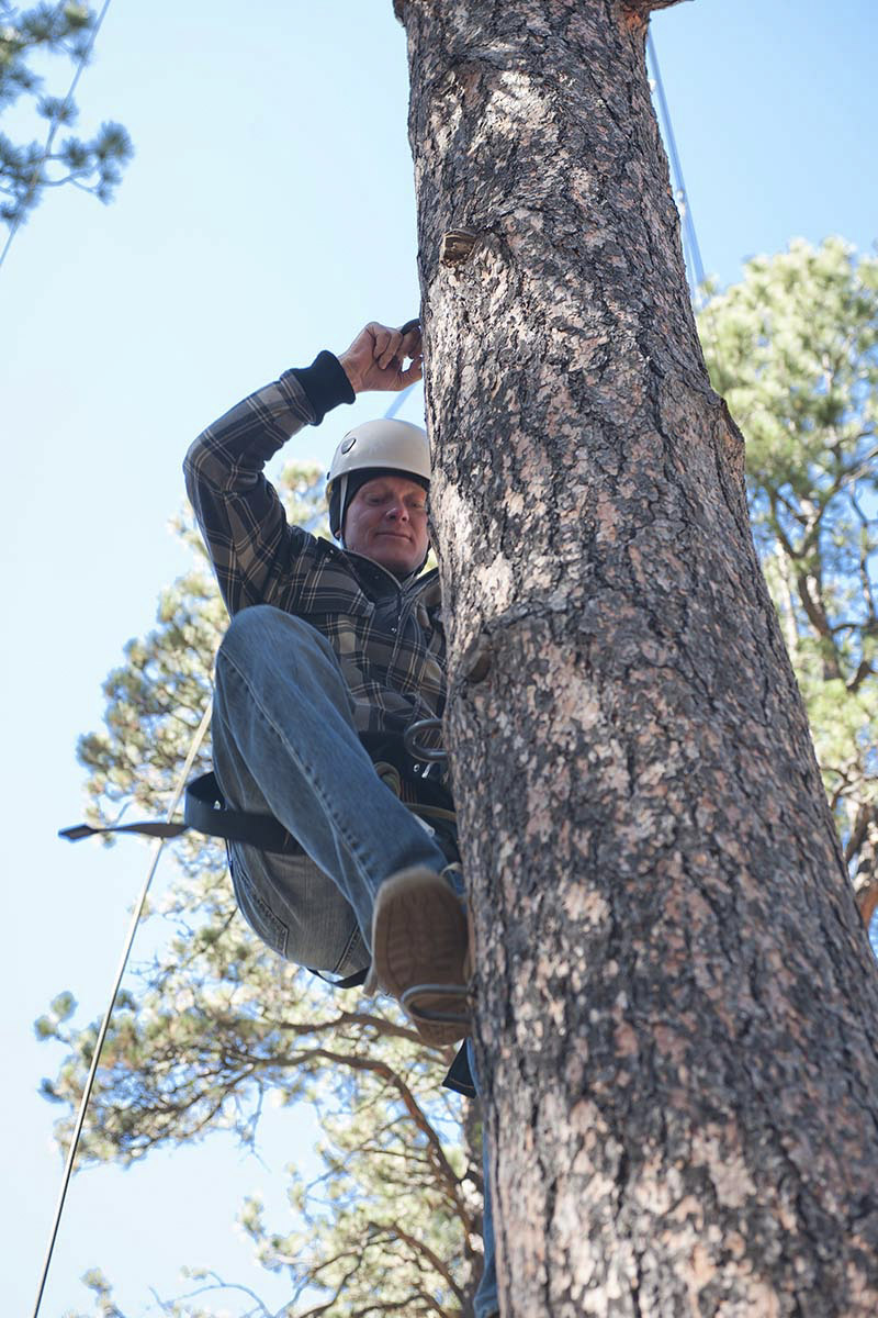 student climbing a tree