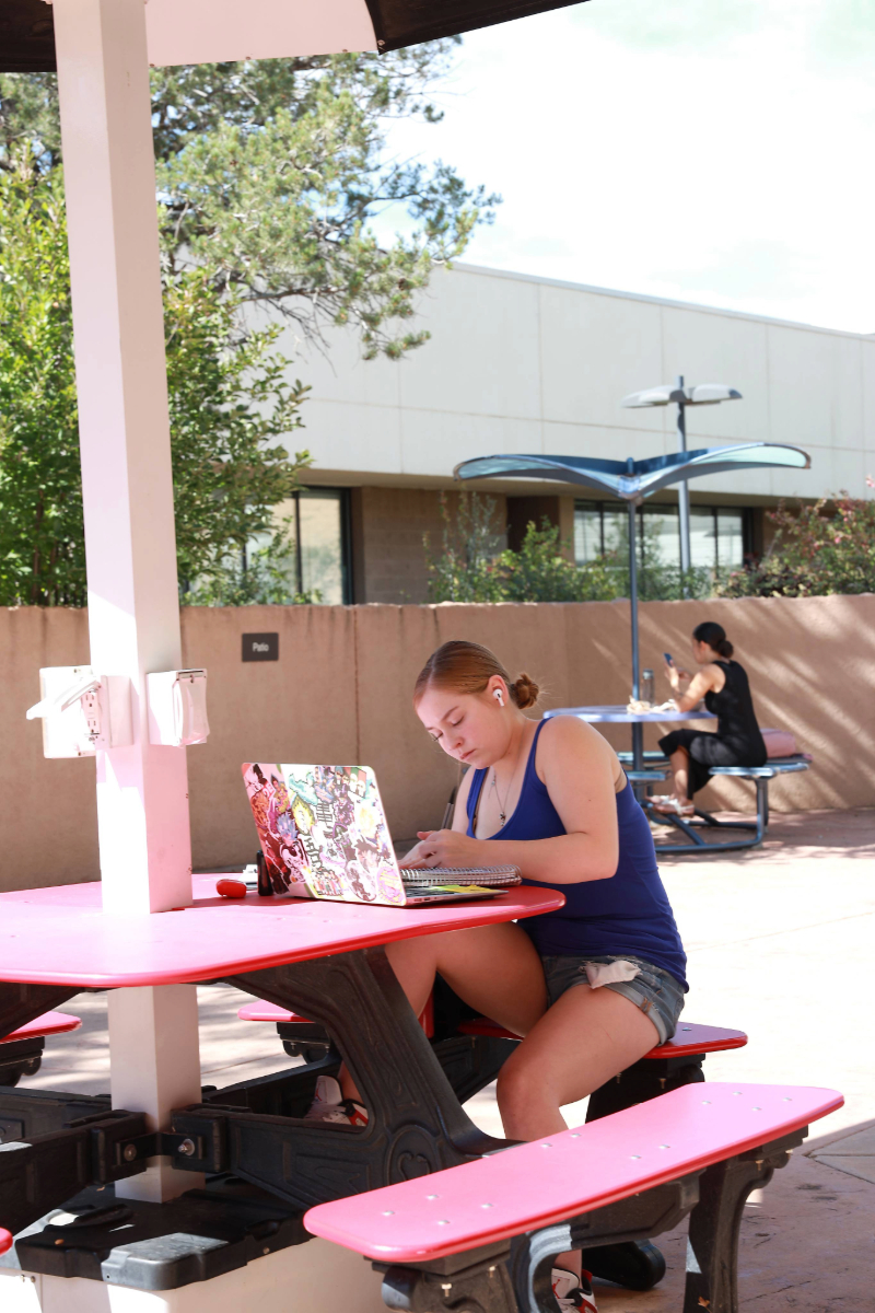 student working on laptop outside